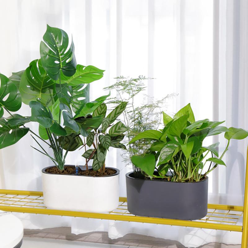 โรงงานในร่มที่มีตัวบ่งชี้ไม้ขา - Automatic Plant Waterer บทวิจารณ์และราคา